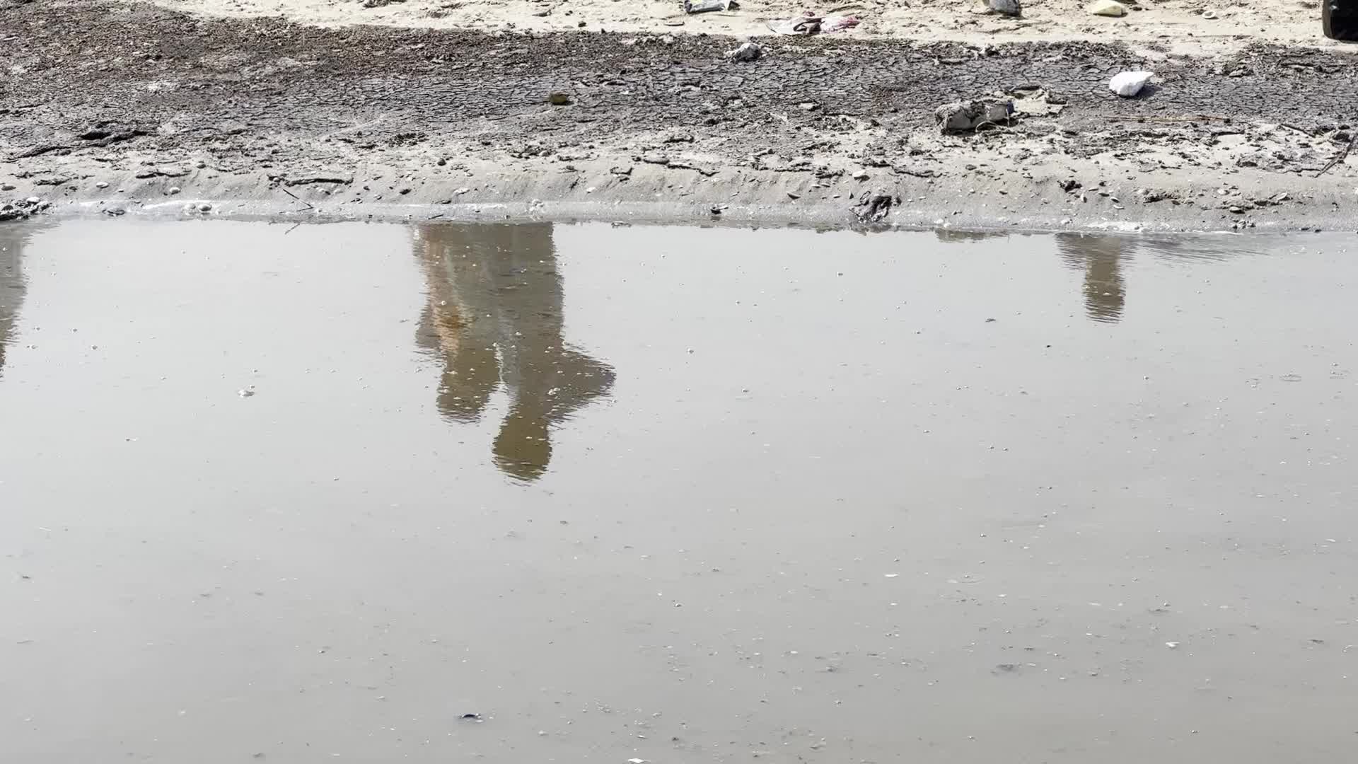 Displaced Palestinians Near Raw Sewage at Camp in Deir al-Balah, Gaza Strip