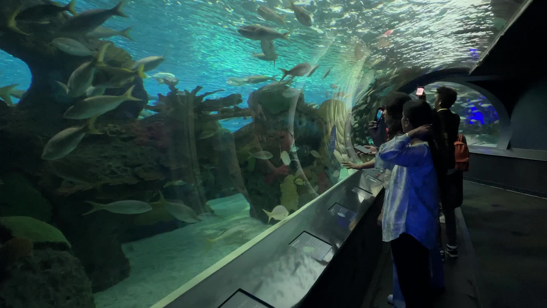 Daily life in Toronto, Canada