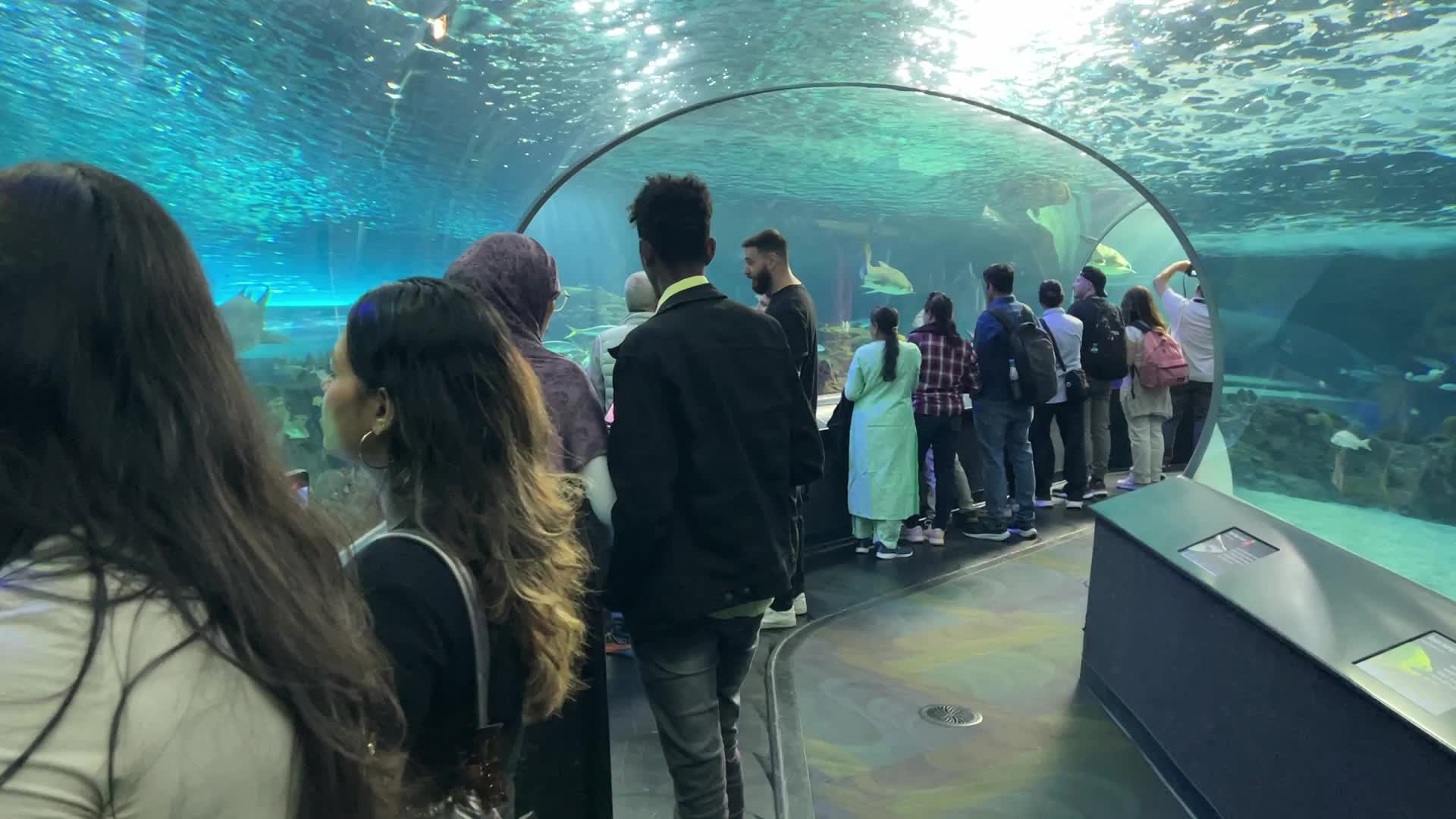 Daily life in Toronto, Canada