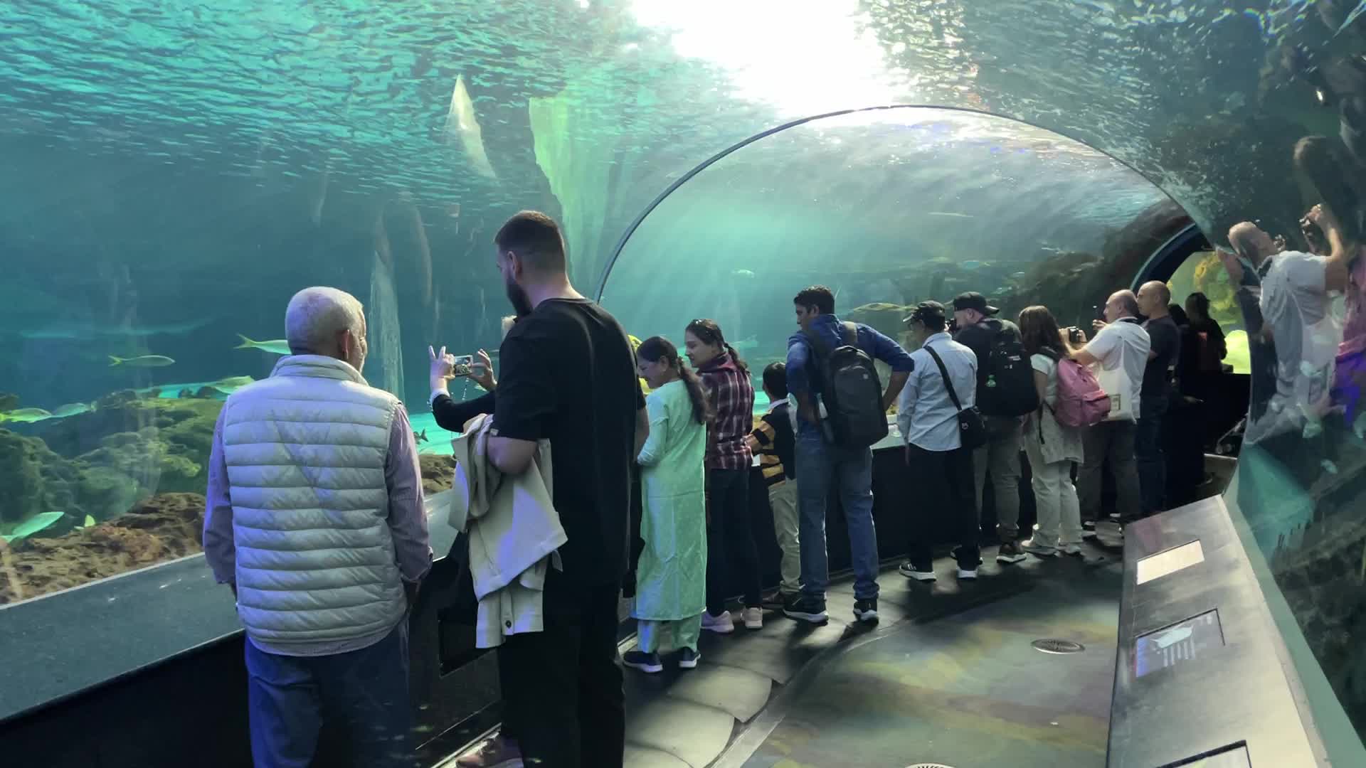 Daily life in Toronto, Canada