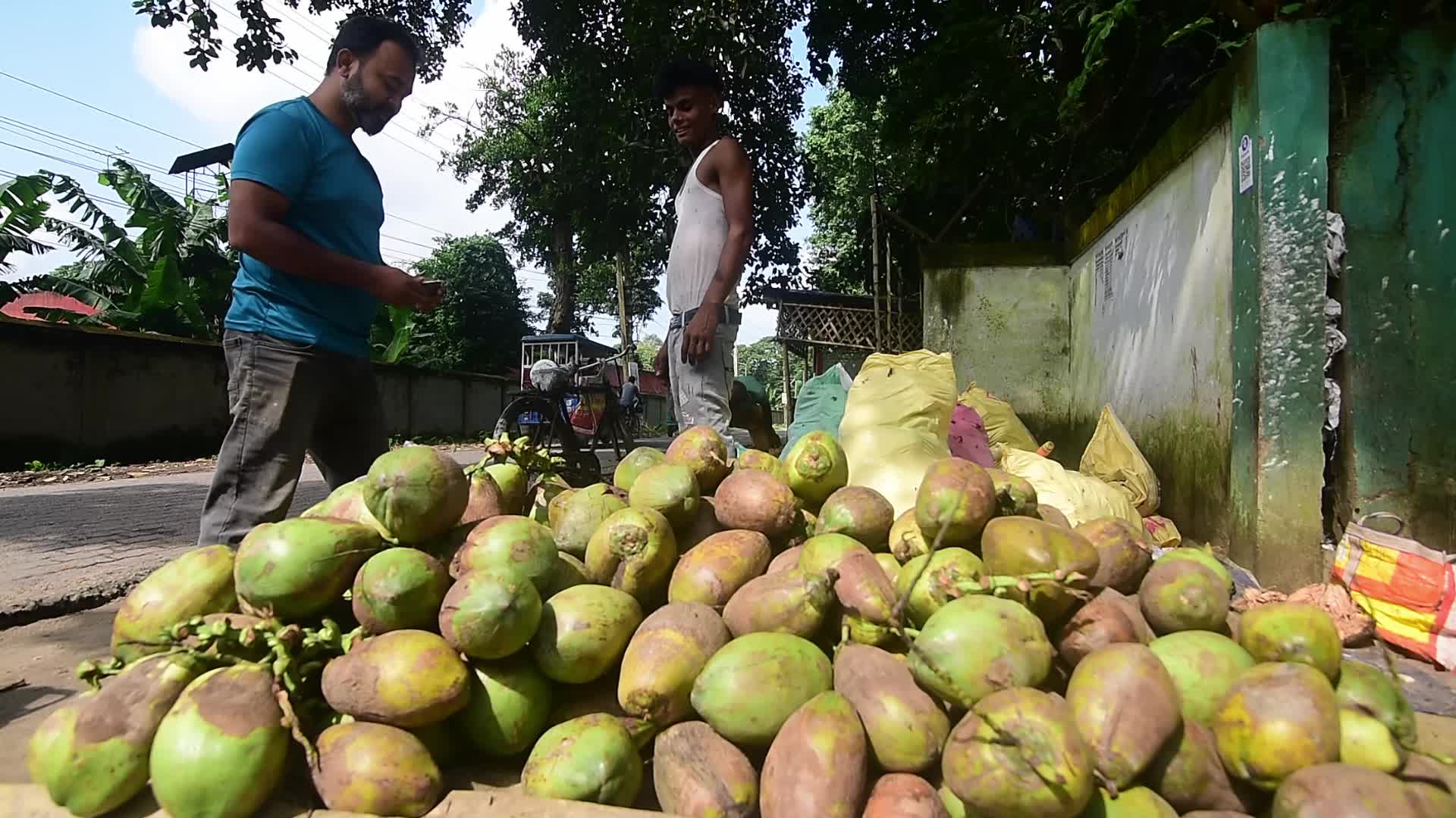 World Coconut Day in India 