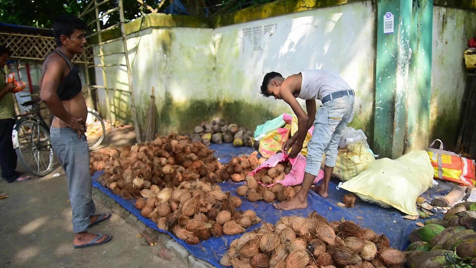 World Coconut Day in India 