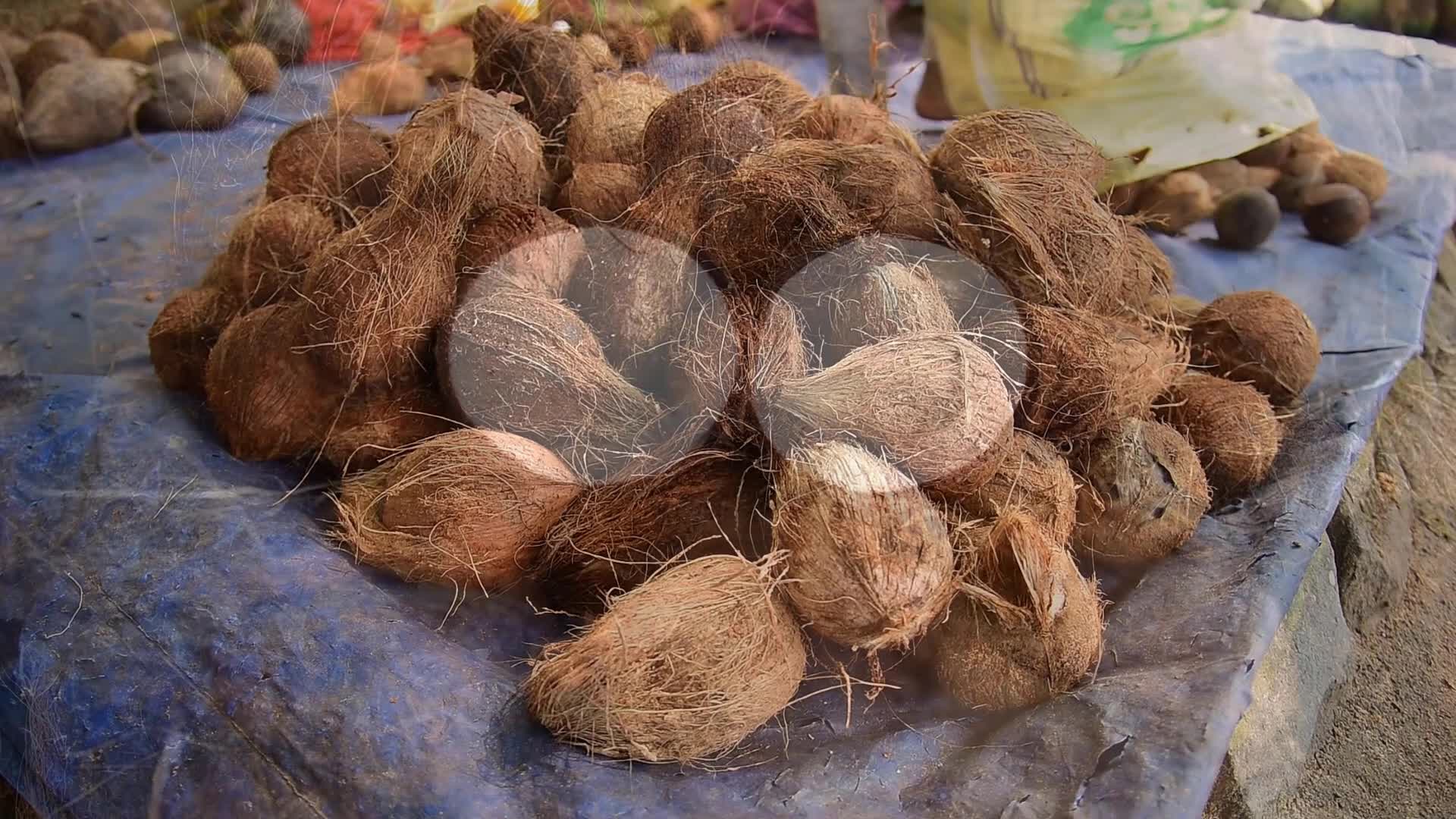World Coconut Day in India 