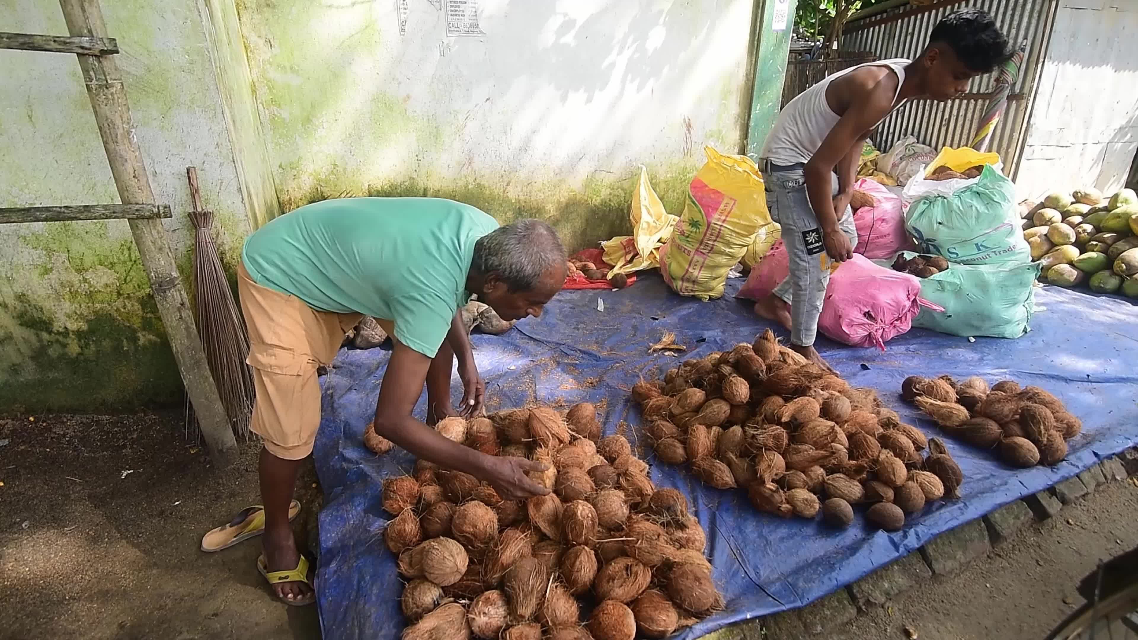 World Coconut Day in India 