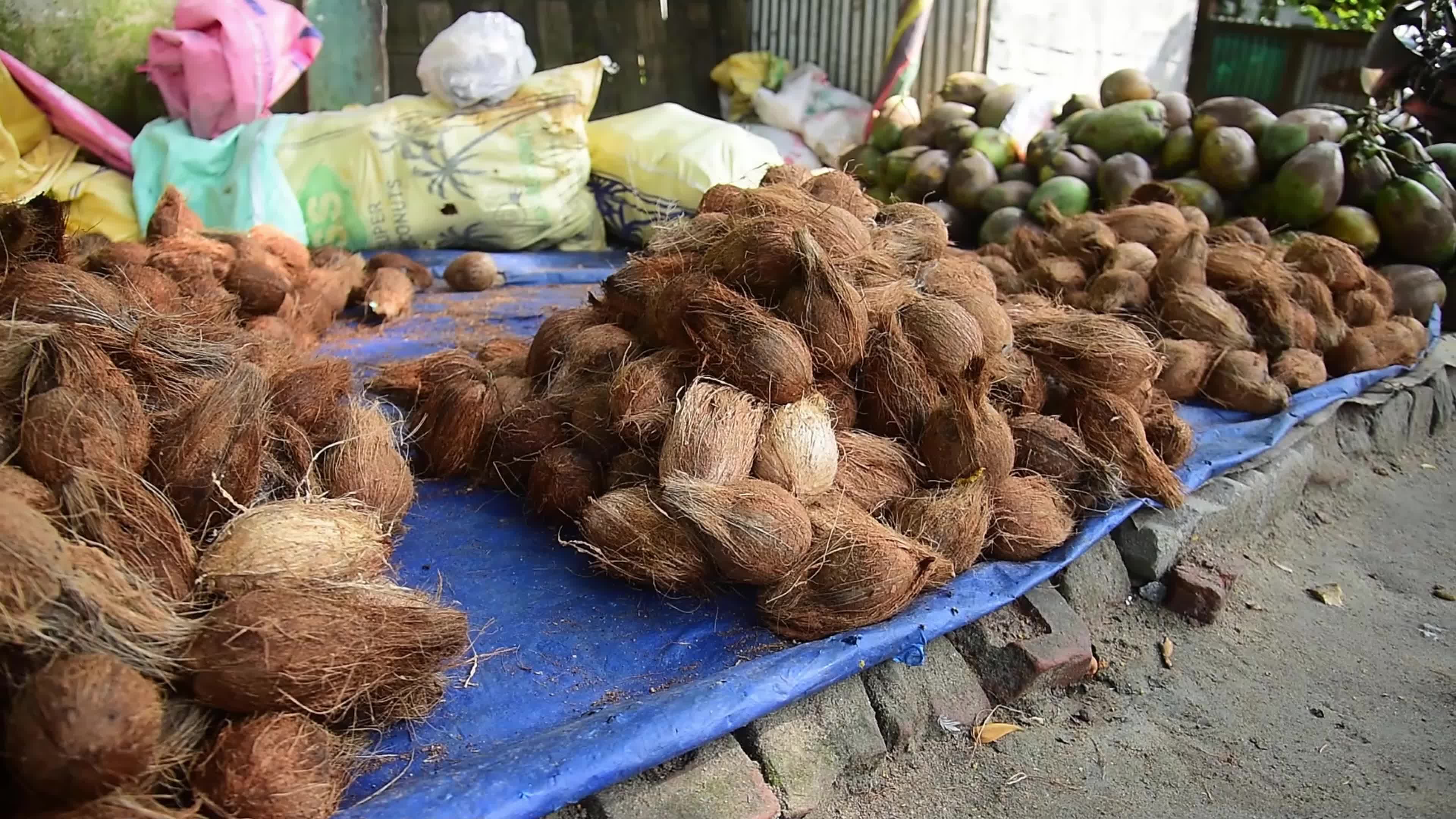 World Coconut Day in India 