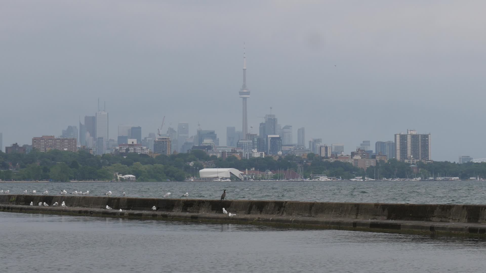 Daily Life In Toronto, Canada