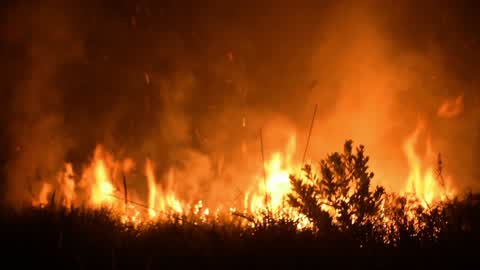 Forest Fire In Indonesia
