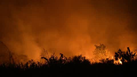 Forest Fire In Indonesia