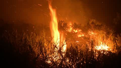 Forest Fire In Indonesia