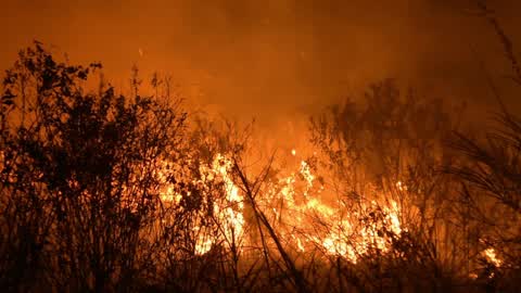 Forest Fire In Indonesia