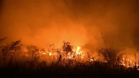 Forest Fire In Indonesia