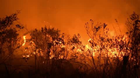 Forest Fire In Indonesia