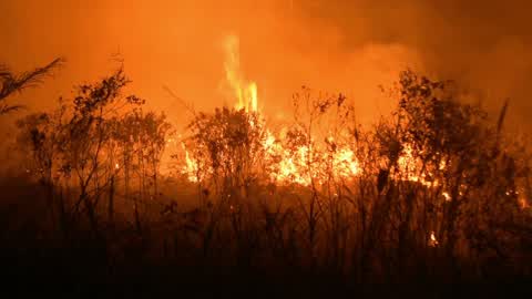 Forest Fire In Indonesia