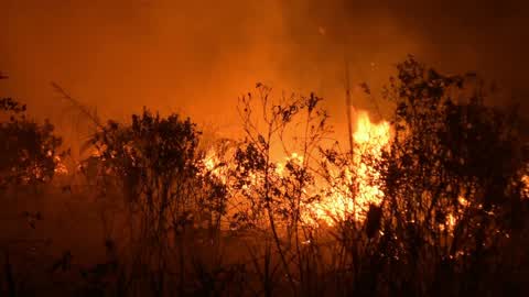Forest Fire In Indonesia