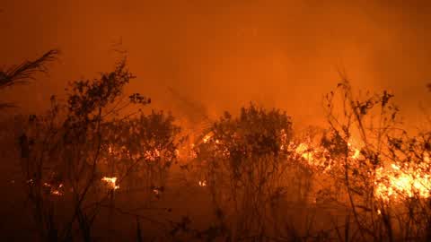 Forest Fire In Indonesia