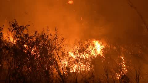Forest Fire In Indonesia