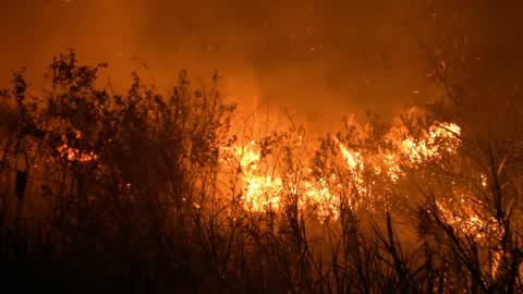 Forest Fire In Indonesia