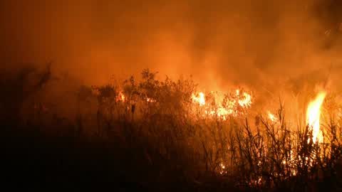 Forest Fire In Indonesia