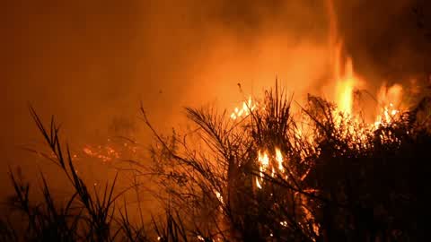 Forest Fire In Indonesia