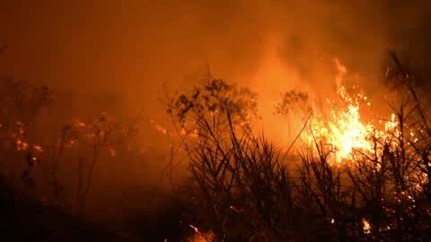 Forest Fire In Indonesia