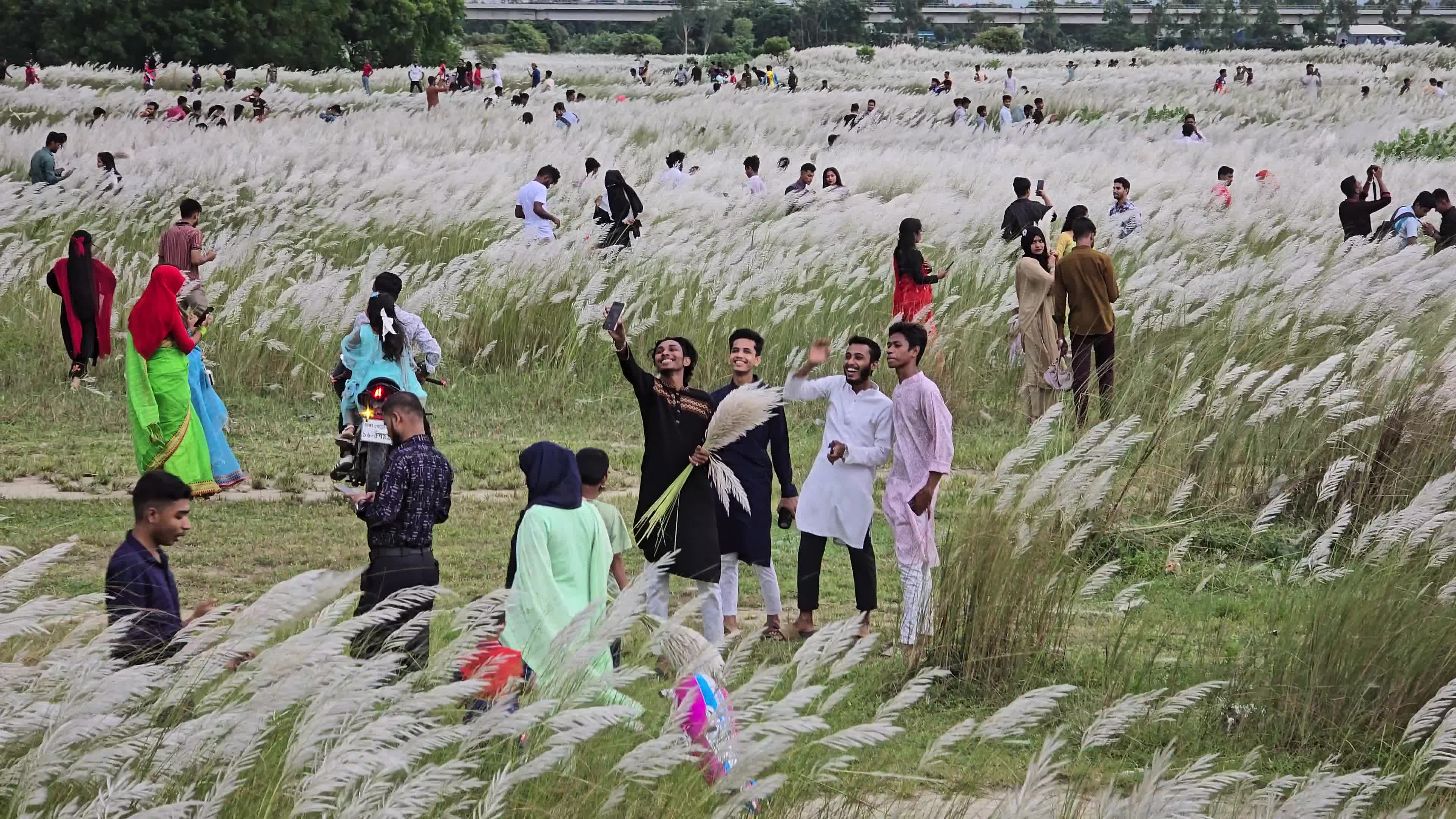 People Visit in Kans Grass Flower Field