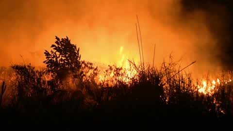 Forest Fire In Indonesia