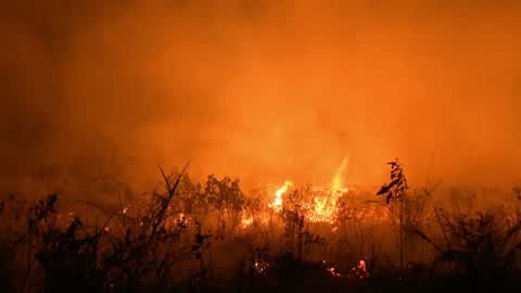 Forest Fire In Indonesia