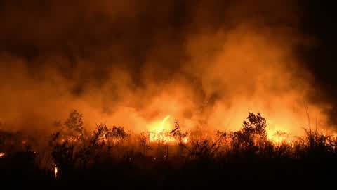 Forest Fire In Indonesia