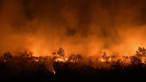 Forest Fire In Indonesia