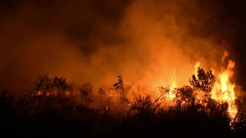 Forest Fire In Indonesia
