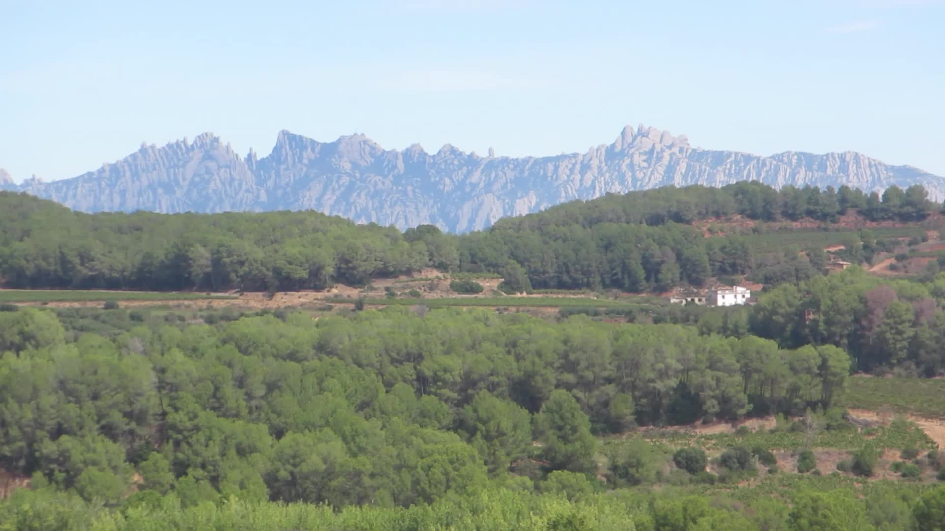 Climate change continues to harm wine production in Catalonia