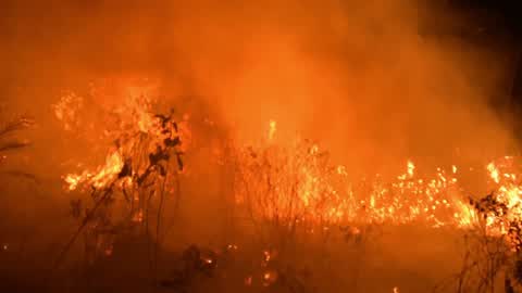 Forest Fire In Indonesia