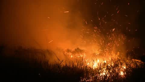 Forest Fire In Indonesia