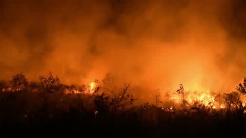 Forest Fire In Indonesia