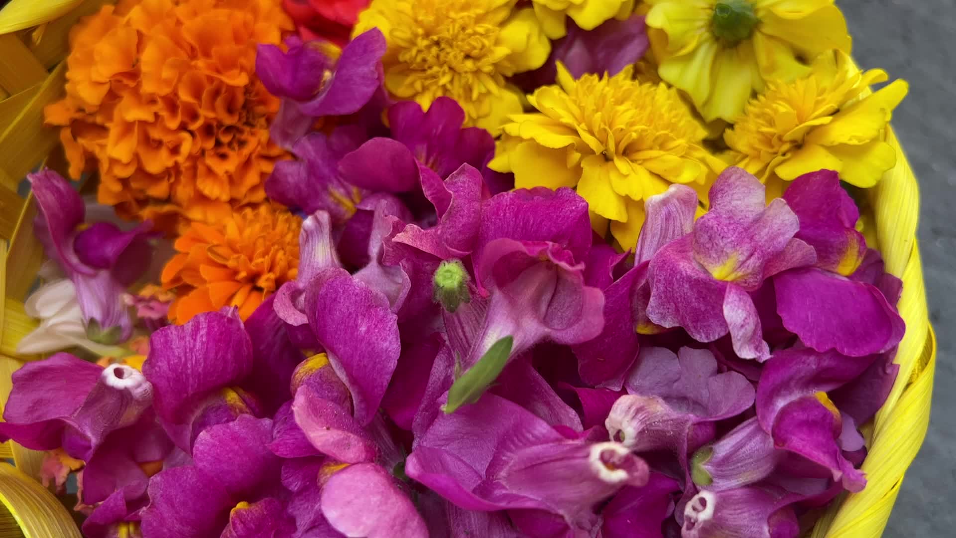 Flower Rangoli during the Onam Festival in Canada