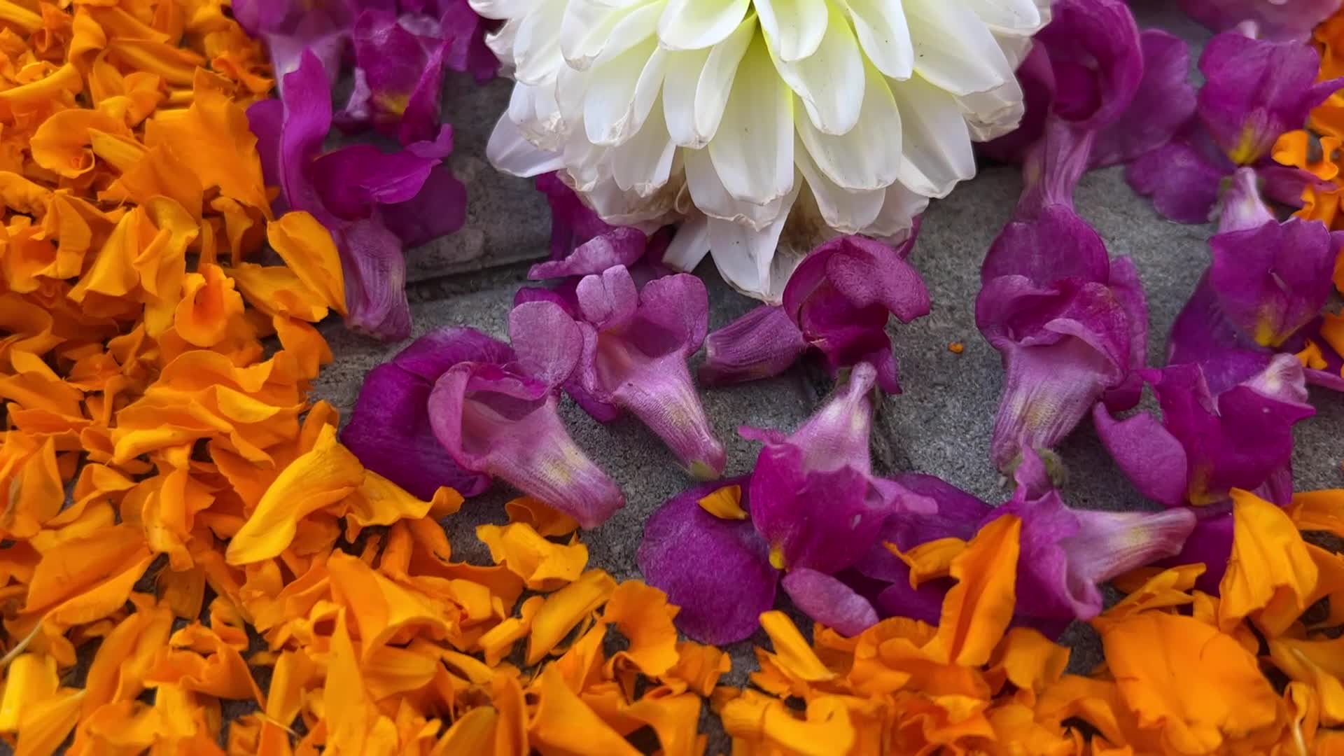 Flower Rangoli during the Onam Festival in Canada