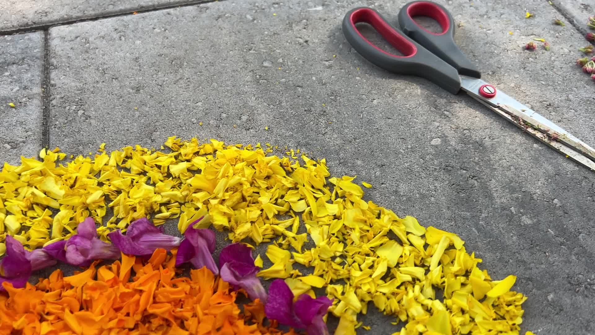 Flower Rangoli during the Onam Festival in Canada
