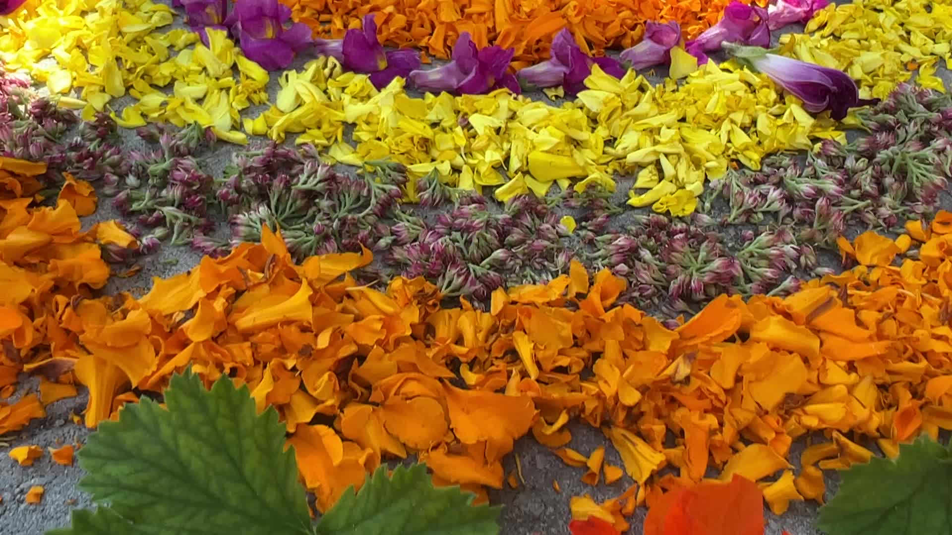 Flower Rangoli during the Onam Festival in Canada