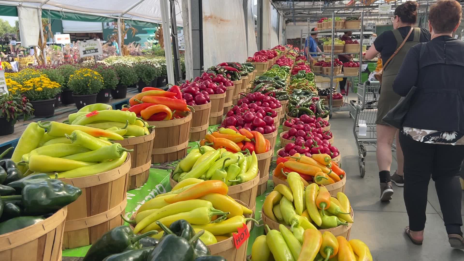 Farmers Market in Markham