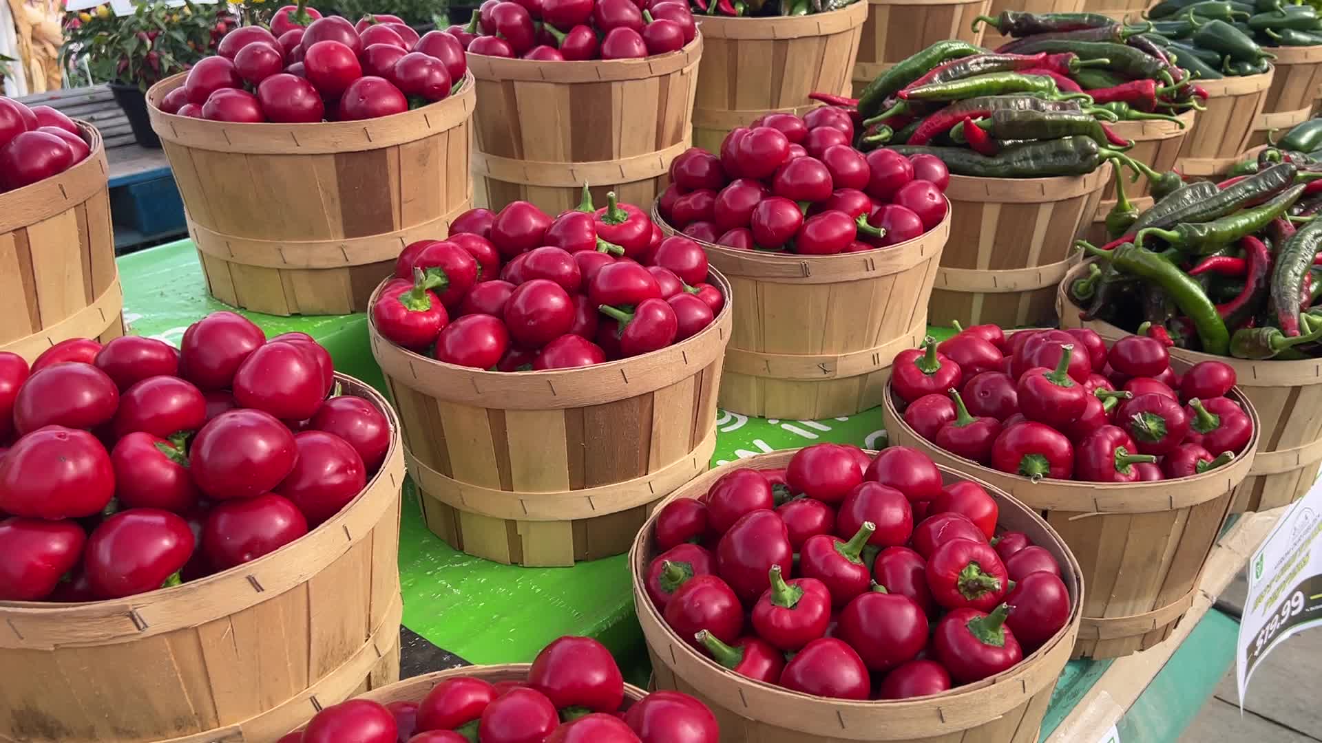 Farmers Market in Markham