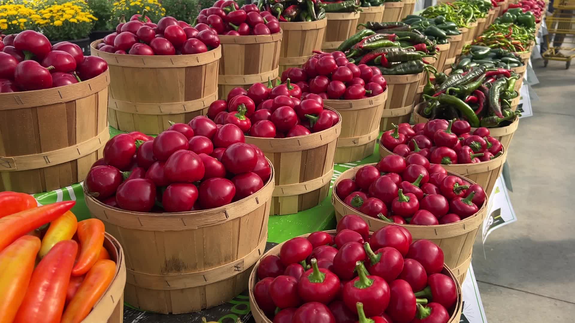 Farmers Market in Markham