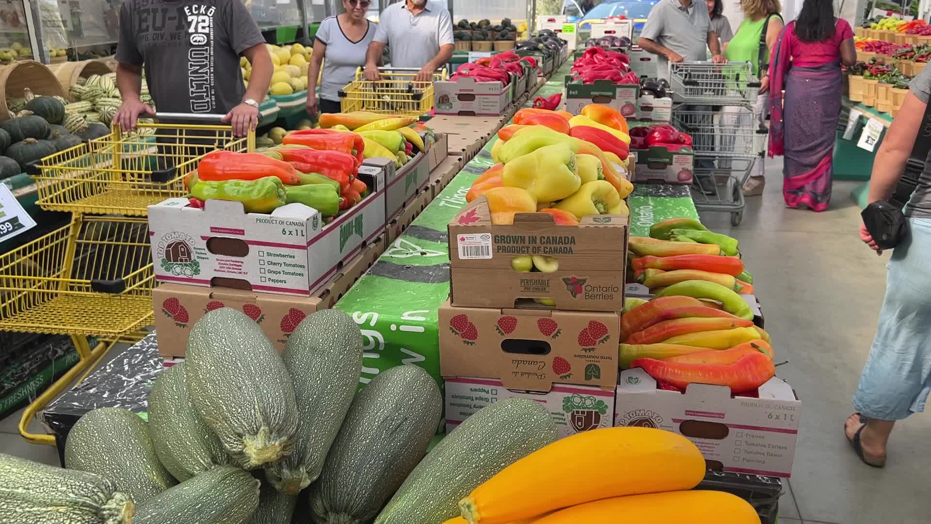 Farmers Market in Markham