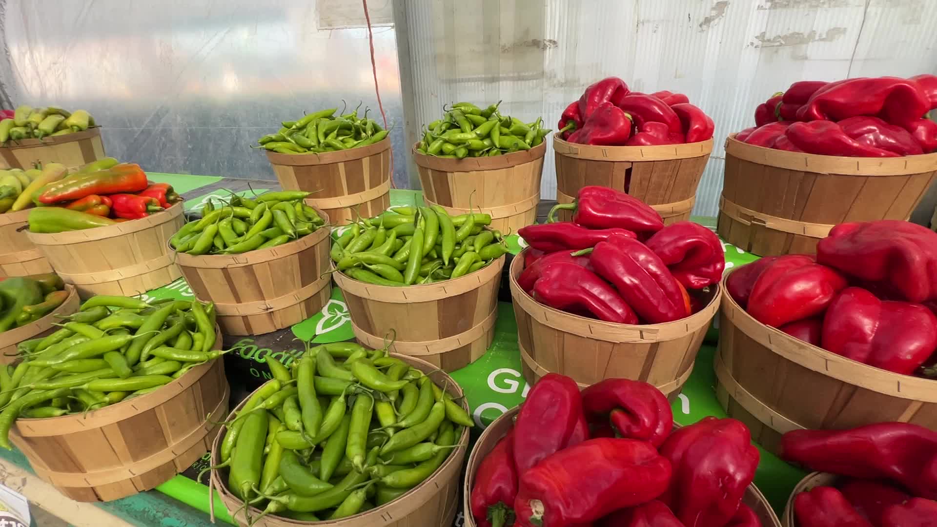 Farmers Market in Markham