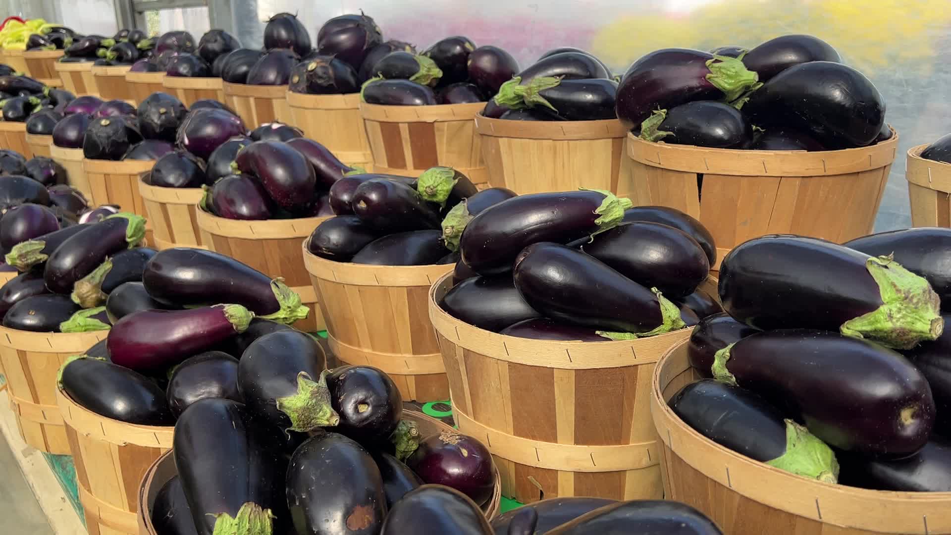 Farmers Market in Markham