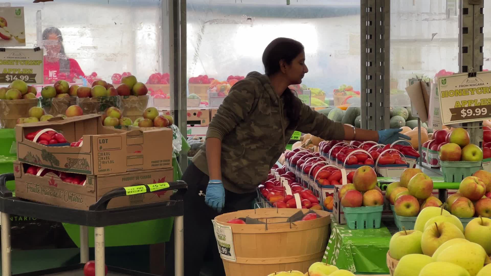 Farmers Market in Markham