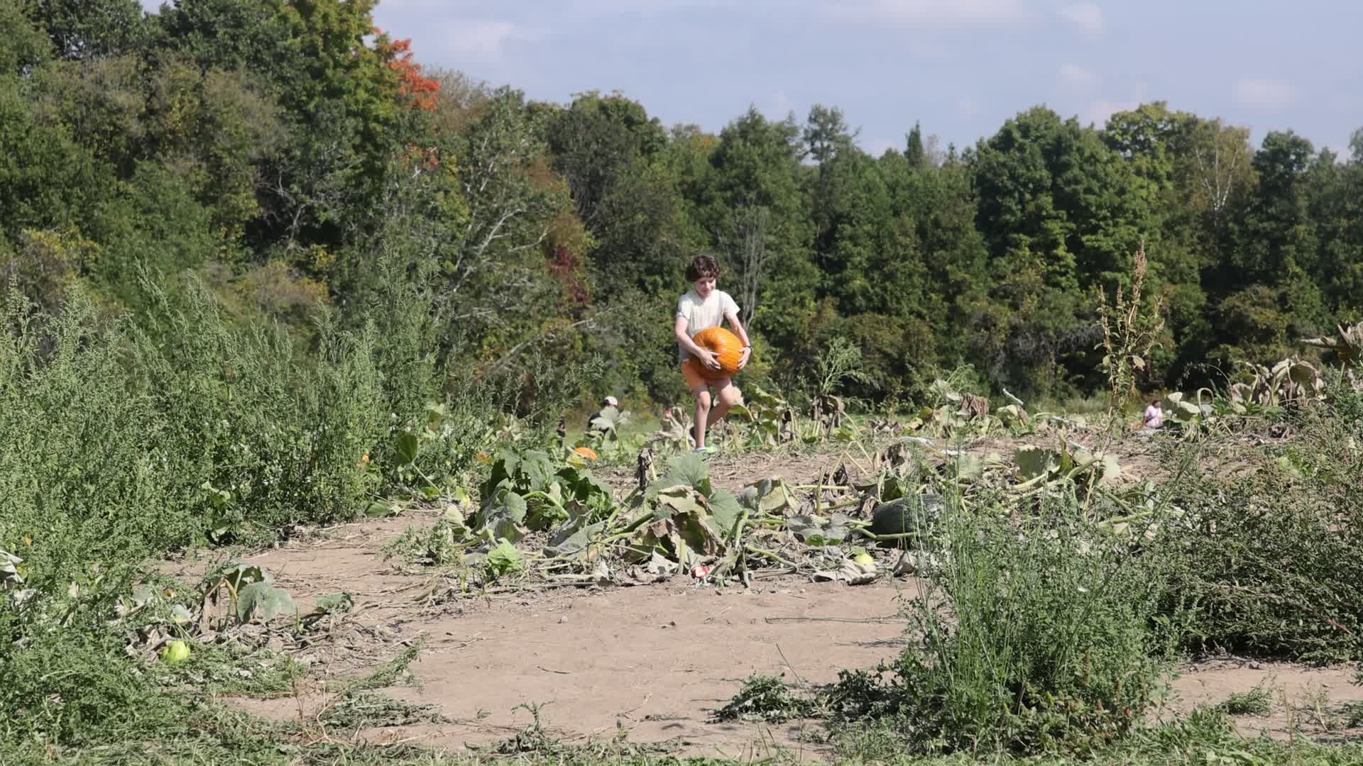 Autumn season in Canada
