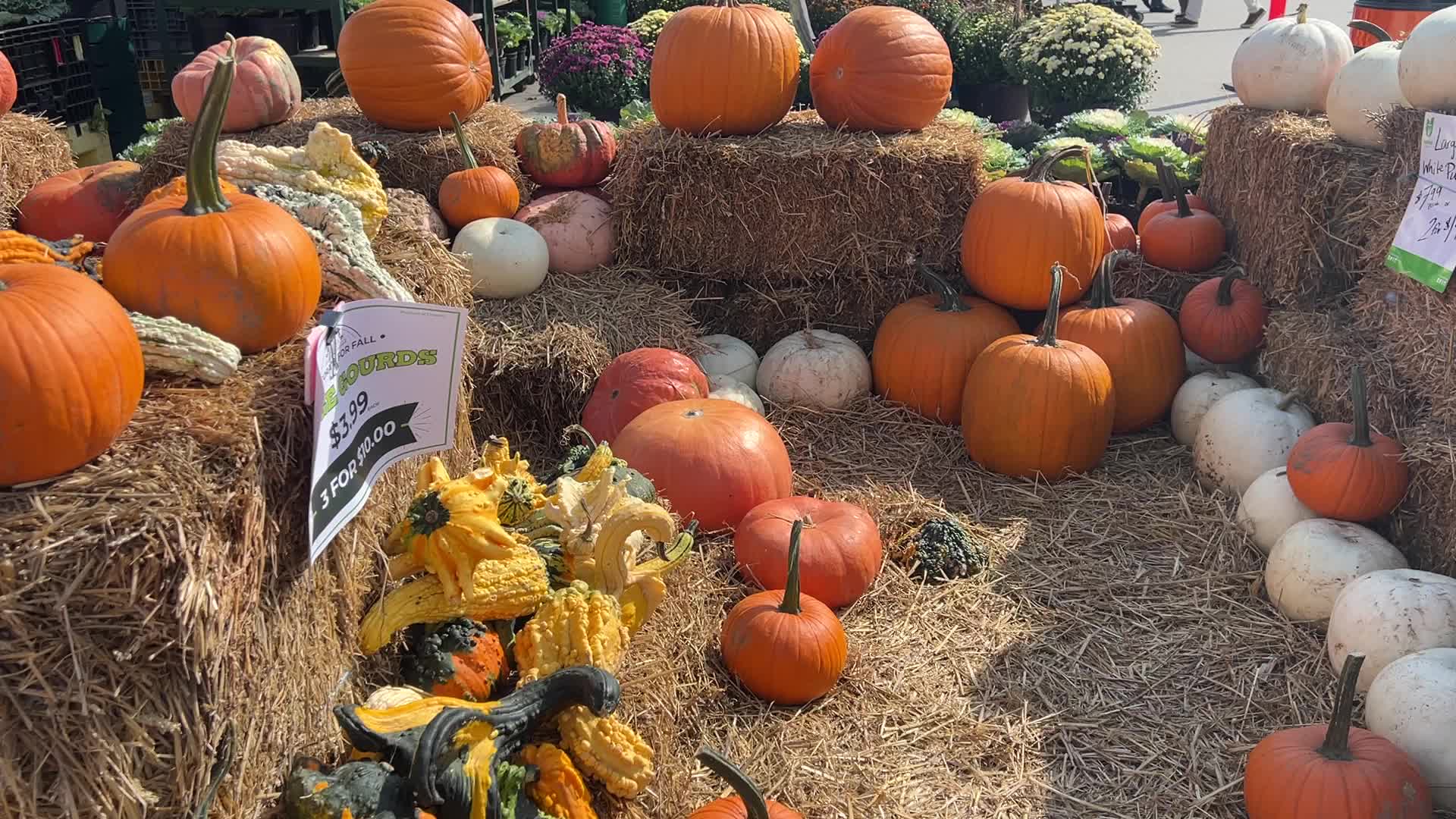 Autumn season in Canada