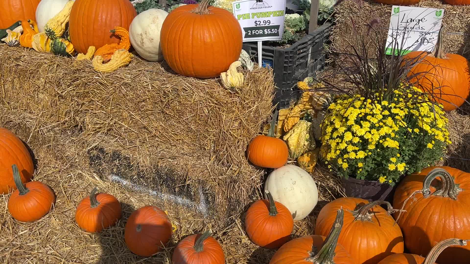 Autumn season in Canada
