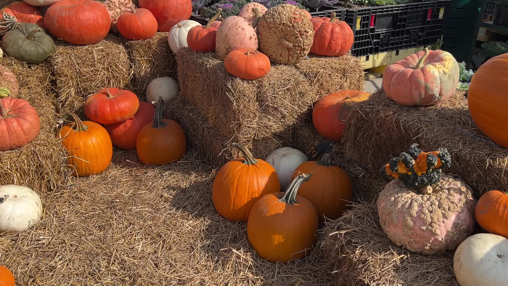 Autumn season in Canada
