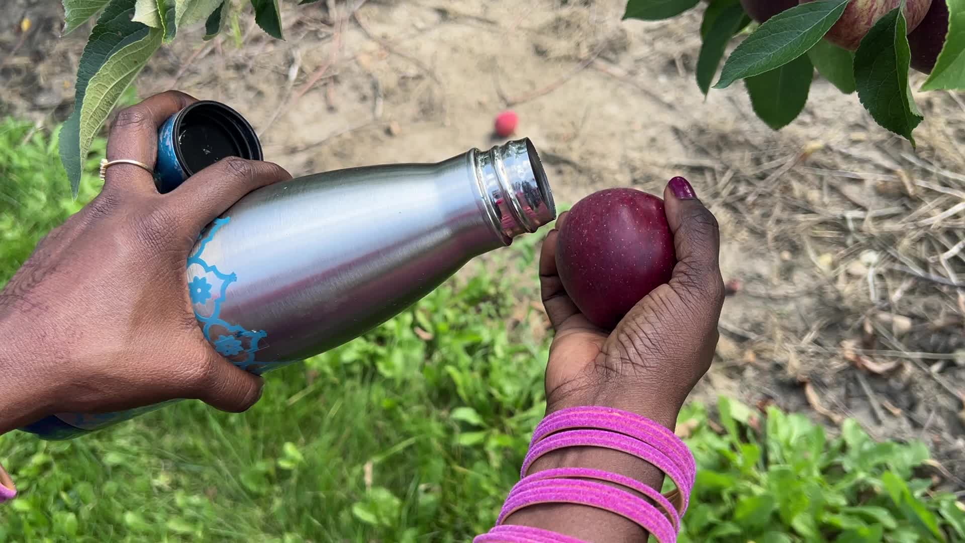 Apple season in Canada